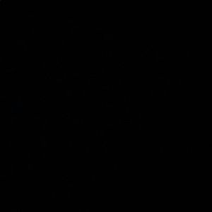 Meet your Posher, Alisa